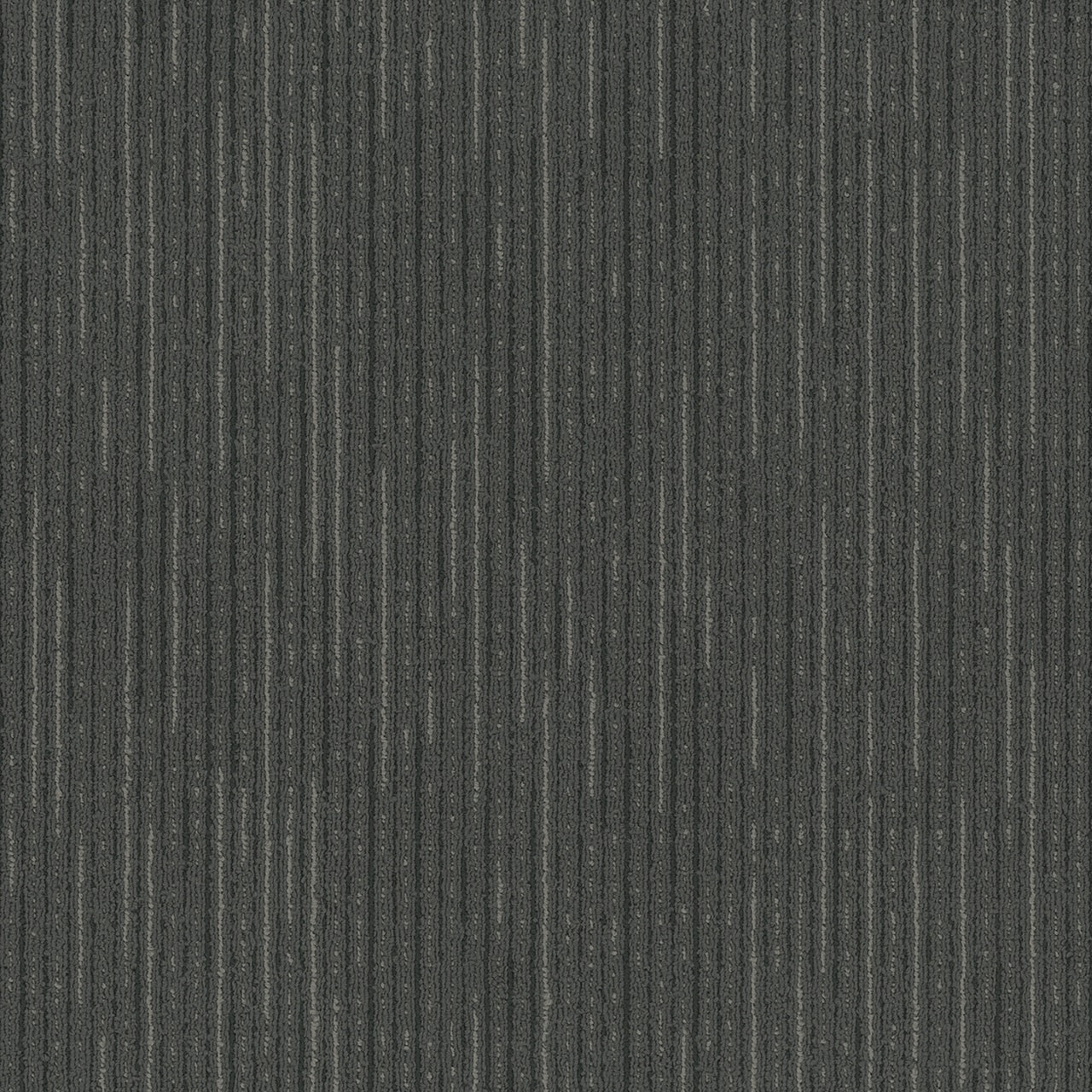 Pentz Commercial VITALITY BROADLOOM