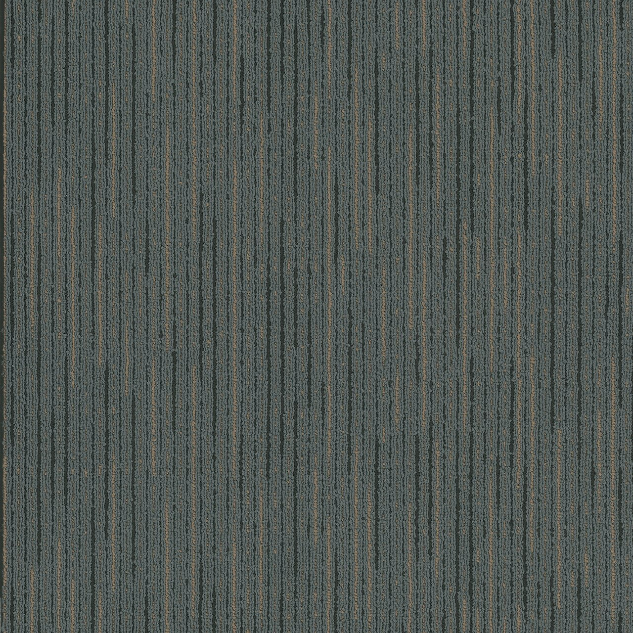 Pentz Commercial VITALITY BROADLOOM