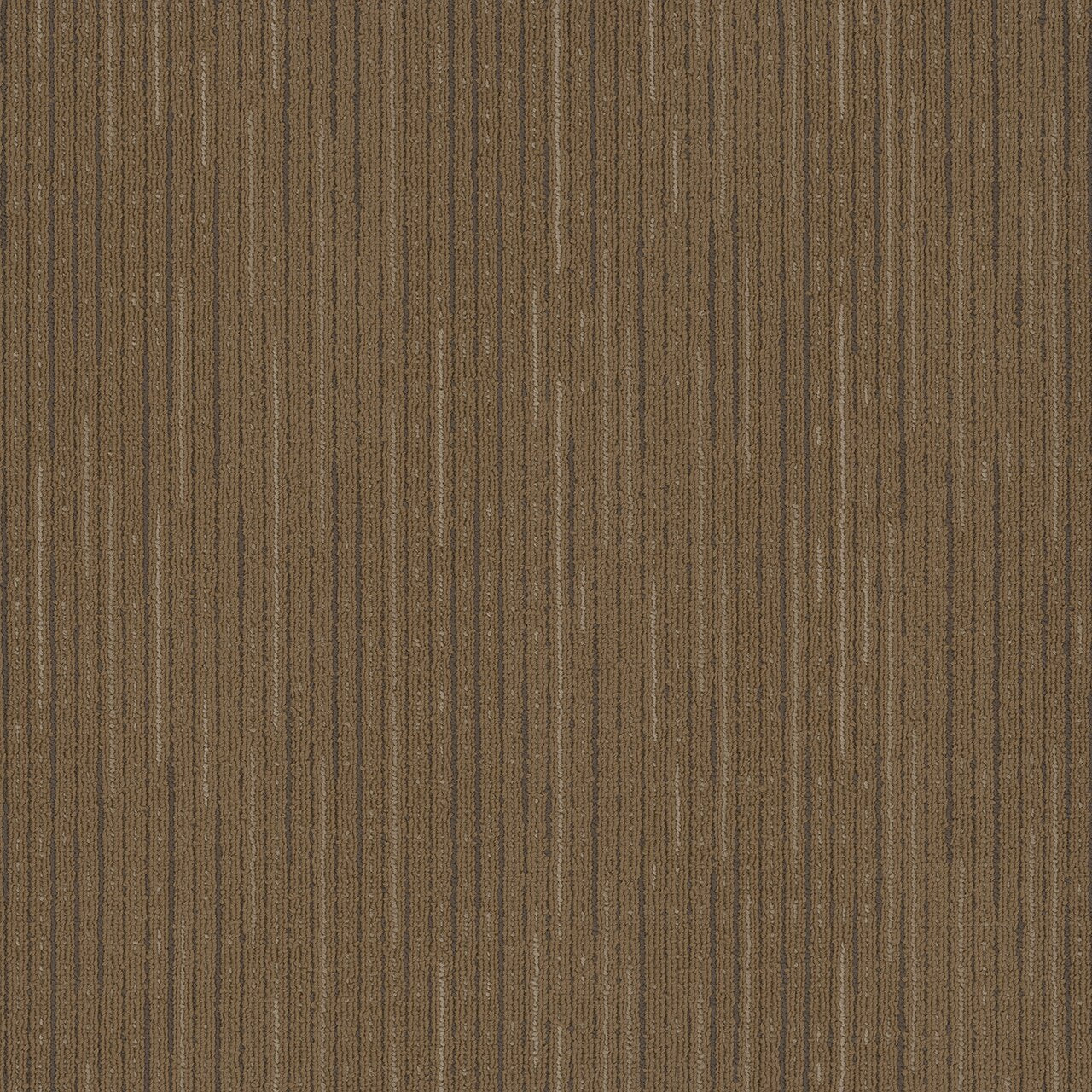 Pentz Commercial VITALITY BROADLOOM