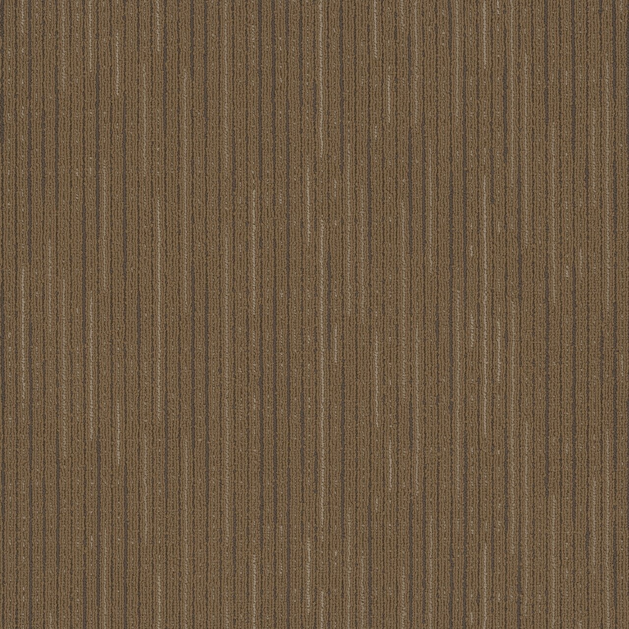 Pentz Commercial VITALITY TILE