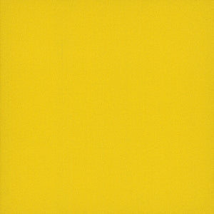 Pentz Commercial COLORBURST TILE
