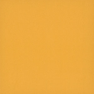 Pentz Commercial COLORBURST TILE