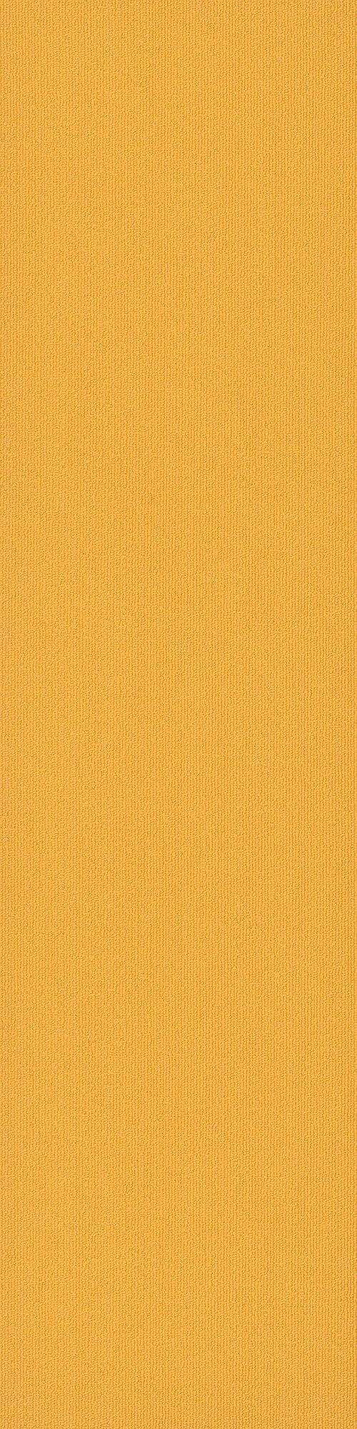 Pentz Commercial COLORBURST PLANK