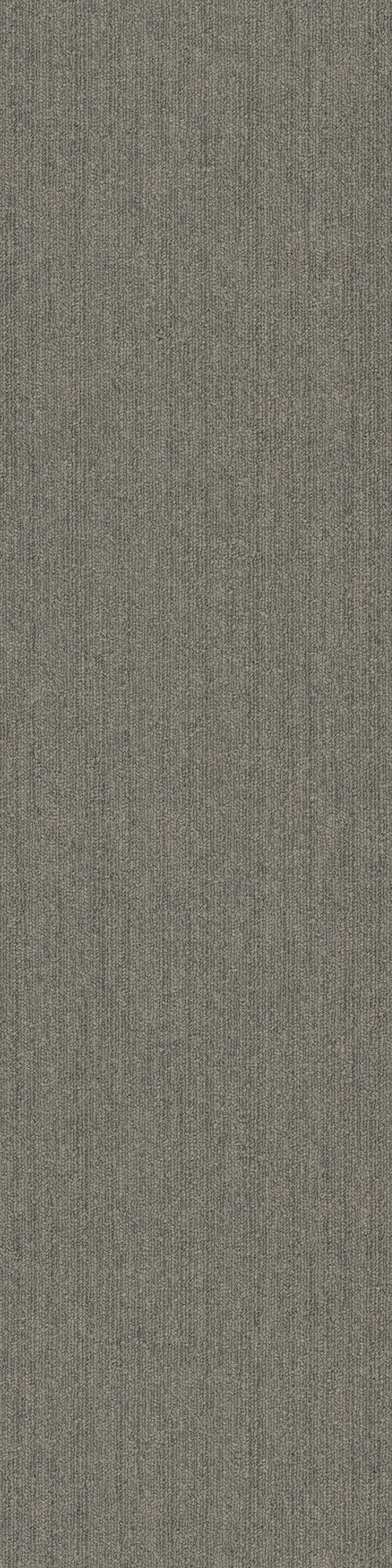 Pentz Commercial COLORPOINT TILE