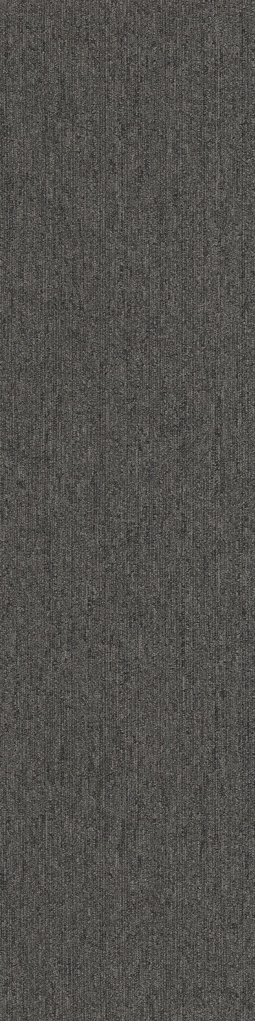 Pentz Commercial COLORPOINT TILE
