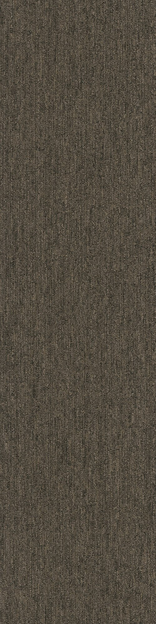 Pentz Commercial COLORPOINT TILE