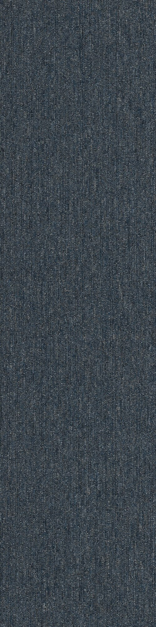 Pentz Commercial COLORPOINT TILE