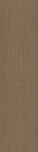 Pentz Commercial COLORPOINT TILE