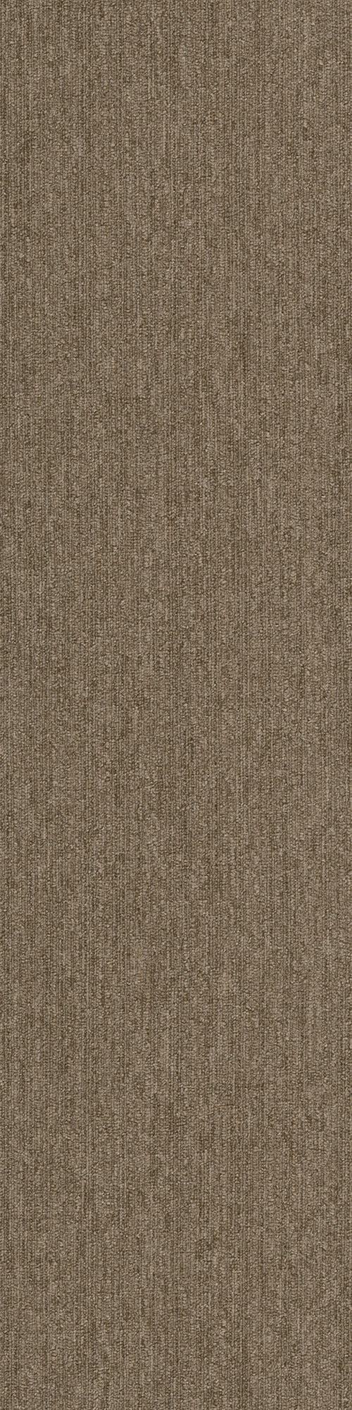 Pentz Commercial COLORPOINT TILE
