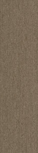 Pentz Commercial COLORPOINT TILE