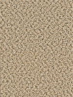 Load image into Gallery viewer, Dream Weaver CHERRY CREEK PLUS

