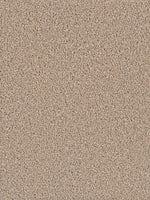 Load image into Gallery viewer, Dream Weaver EXCEPTIONAL II
