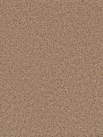 Load image into Gallery viewer, Dream Weaver EXCEPTIONAL II
