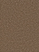 Load image into Gallery viewer, Dream Weaver EXCEPTIONAL II
