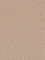 Load image into Gallery viewer, Dream Weaver EXCEPTIONAL II
