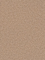 Load image into Gallery viewer, Dream Weaver EXCEPTIONAL II
