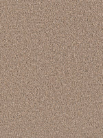 Load image into Gallery viewer, Dream Weaver EXCEPTIONAL II
