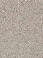 Load image into Gallery viewer, Dream Weaver EXCEPTIONAL II
