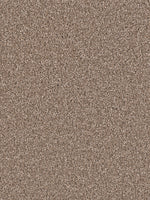 Load image into Gallery viewer, Dream Weaver EXCEPTIONAL II
