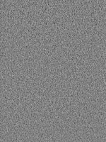 Load image into Gallery viewer, Dream Weaver EXCEPTIONAL II
