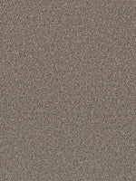 Load image into Gallery viewer, Dream Weaver EXCEPTIONAL II
