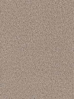 Load image into Gallery viewer, Dream Weaver EXCEPTIONAL II
