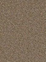 Load image into Gallery viewer, Dream Weaver SENSATIONAL
