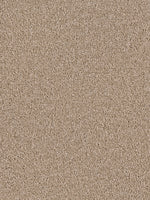 Load image into Gallery viewer, Dream Weaver SENSATIONAL
