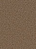Load image into Gallery viewer, Dream Weaver GEMSTONE
