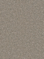 Load image into Gallery viewer, Dream Weaver SENSATIONAL
