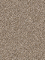 Load image into Gallery viewer, Dream Weaver SENSATIONAL
