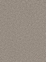 Load image into Gallery viewer, Dream Weaver SENSATIONAL
