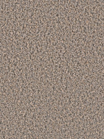 Load image into Gallery viewer, Dream Weaver GEMSTONE PLUS
