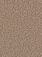 Load image into Gallery viewer, Dream Weaver GEMSTONE PLUS
