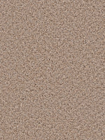 Load image into Gallery viewer, Dream Weaver PIKE&#39;S PEAK
