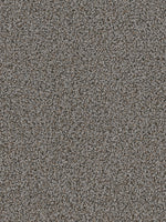 Load image into Gallery viewer, Dream Weaver SIMPLY BLENDED
