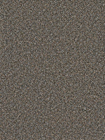 Load image into Gallery viewer, Dream Weaver SIMPLY BLENDED
