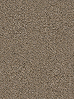 Load image into Gallery viewer, Dream Weaver SIMPLY BLENDED

