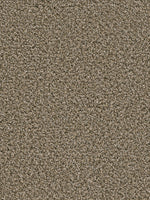 Load image into Gallery viewer, Dream Weaver SIMPLY BLENDED
