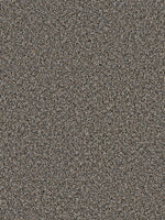 Load image into Gallery viewer, Dream Weaver SIMPLY BLENDED
