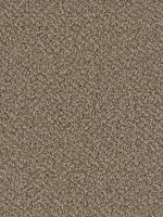 Load image into Gallery viewer, Dream Weaver SIMPLY BLENDED
