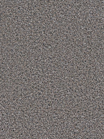 Load image into Gallery viewer, Dream Weaver SIMPLY BLENDED

