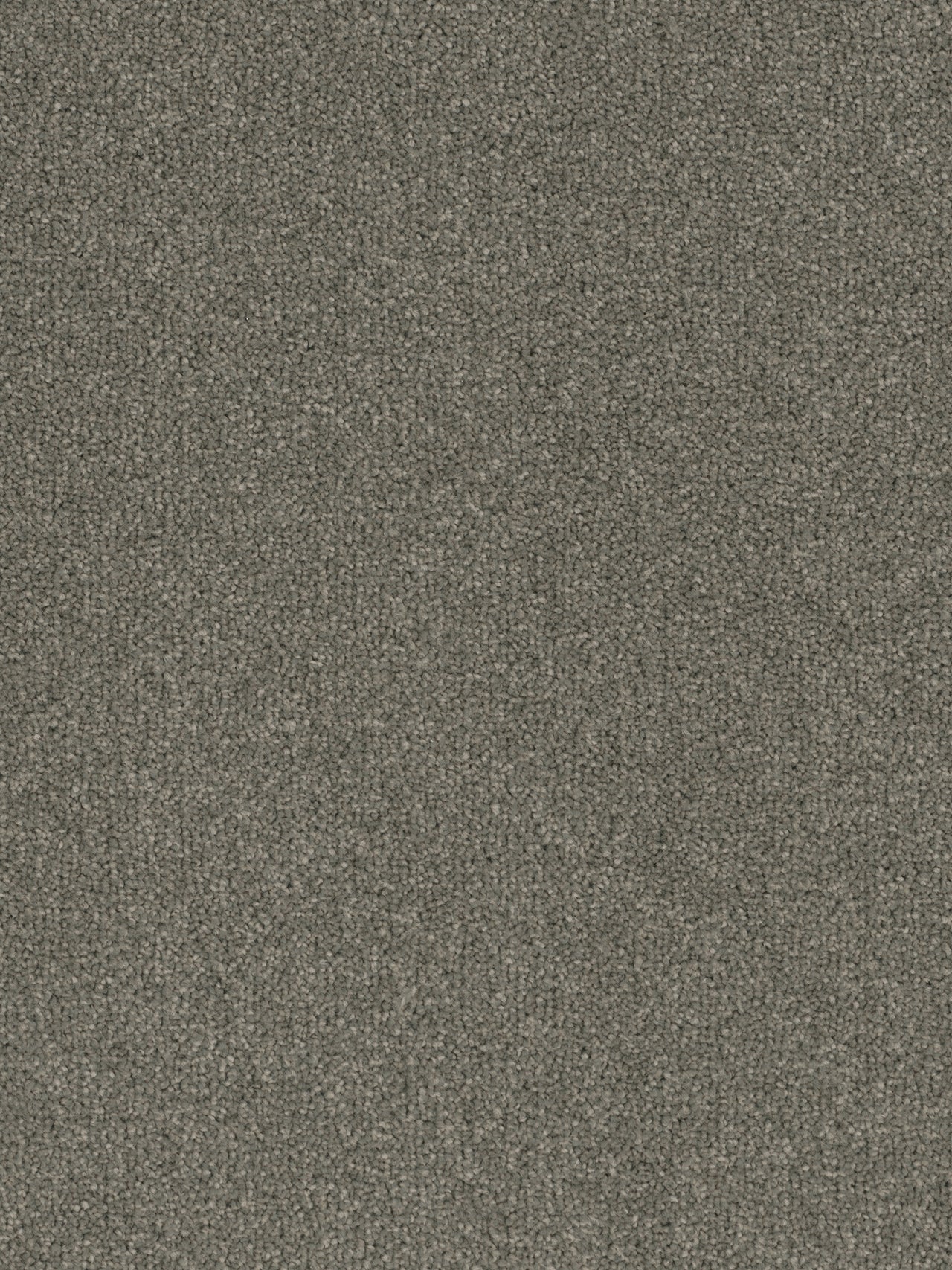Pentz Commercial TERRAIN