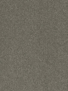 Pentz Commercial TERRAIN