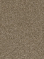 Load image into Gallery viewer, Pentz Commercial TERRAIN
