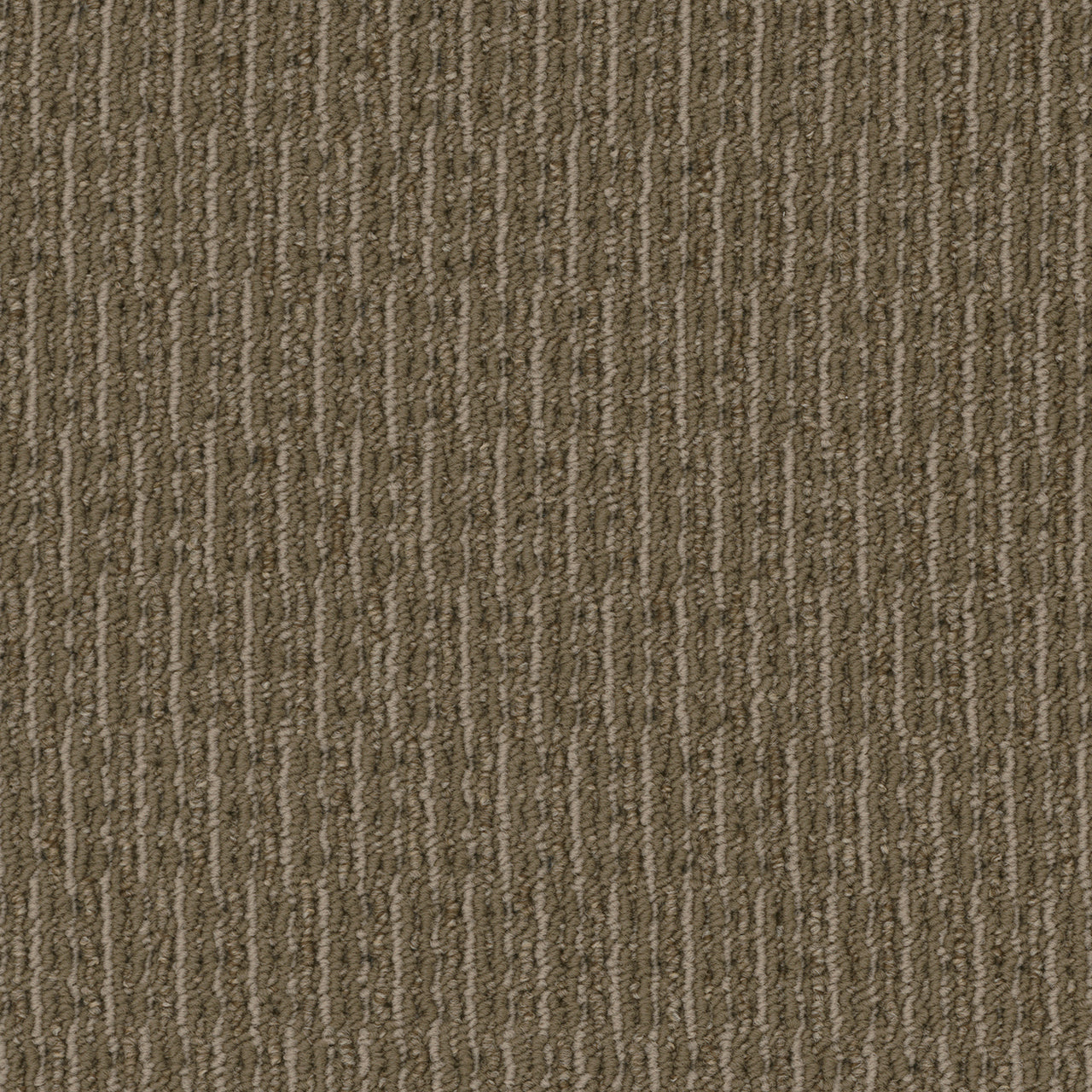 Pentz Commercial ROGUE