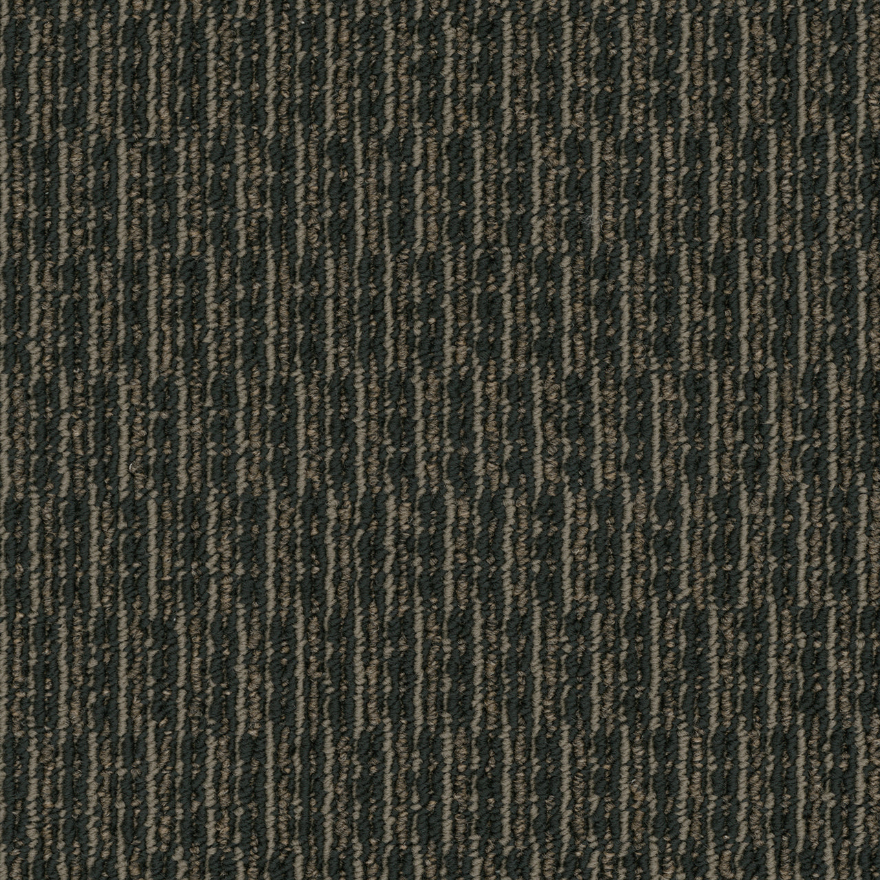 Pentz Commercial ROGUE