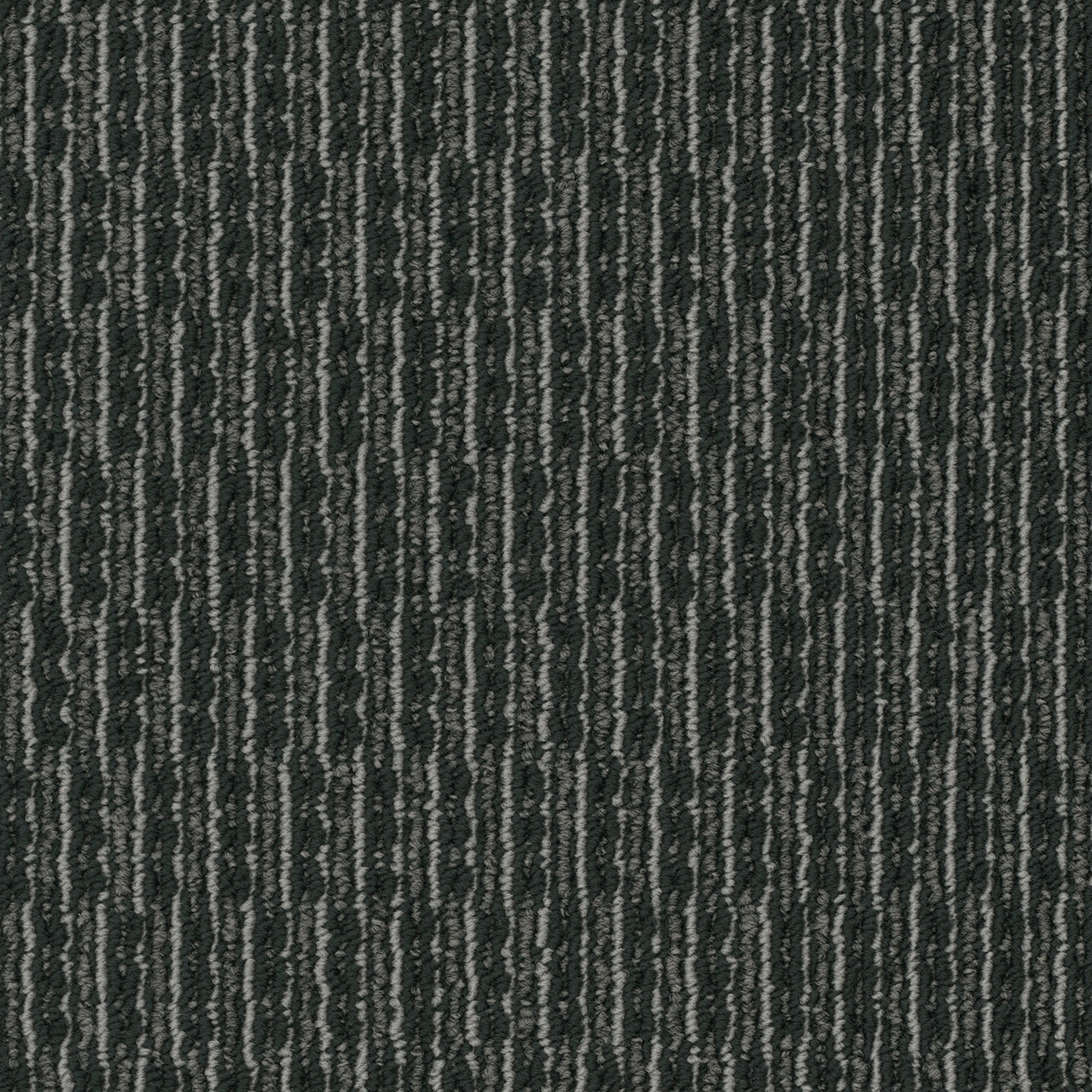 Pentz Commercial ROGUE