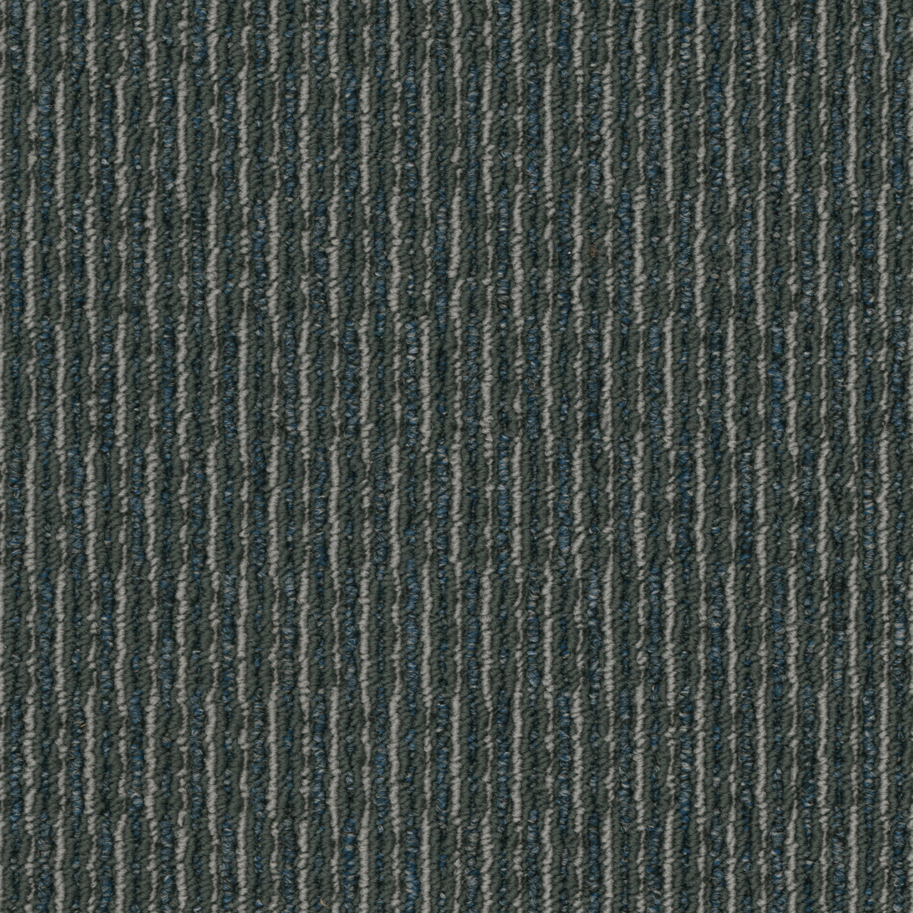 Pentz Commercial ROGUE
