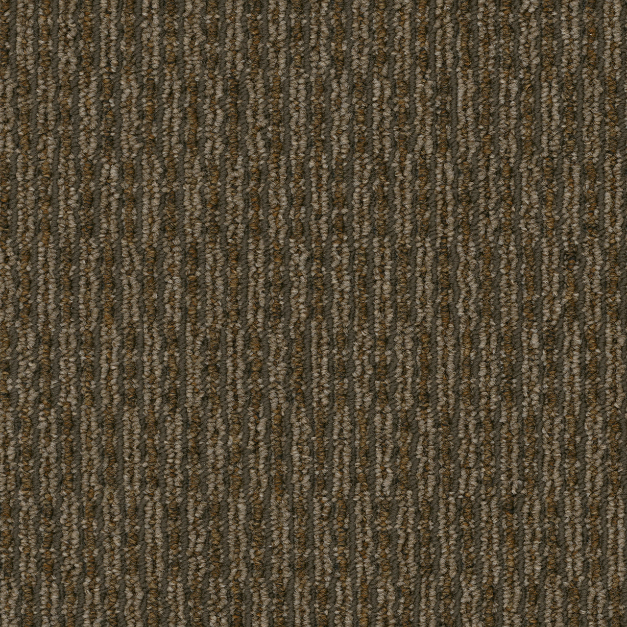 Pentz Commercial ROGUE